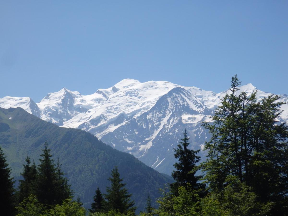 Bed and Breakfast Au Coeur Des Alpes Marignier Exterior foto